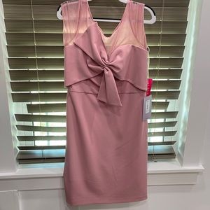 NWT J S Collection pink dress